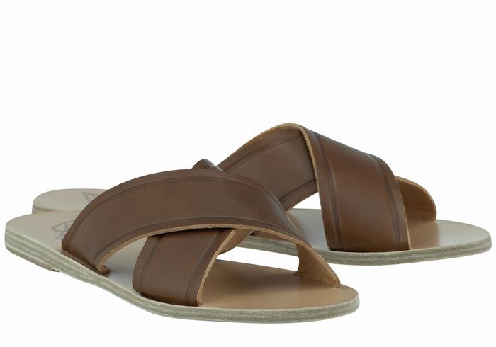 Dark Brown Ancient Greek Sandals Thais Women Slide Sandals | DZM1359MA