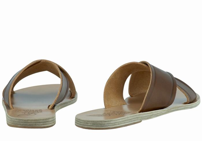 Dark Brown Ancient Greek Sandals Thais Women Slide Sandals | DZM1359MA