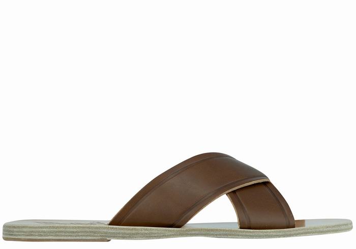 Dark Brown Ancient Greek Sandals Thais Women Slide Sandals | DZM1359MA