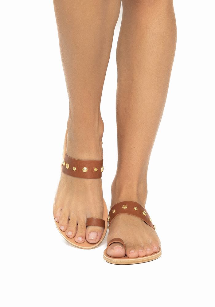 Dark Brown Ancient Greek Sandals Thalia Bee Women Toe-Post Sandals | RAD4220KH