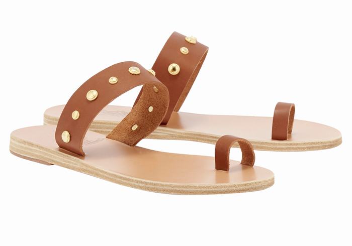 Dark Brown Ancient Greek Sandals Thalia Bee Women Toe-Post Sandals | RAD4220KH