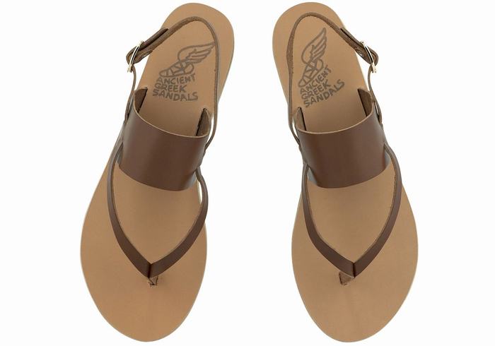 Dark Brown Ancient Greek Sandals Zoe Flip Flop Leather Women Back-Strap Sandals | LYD8955VF