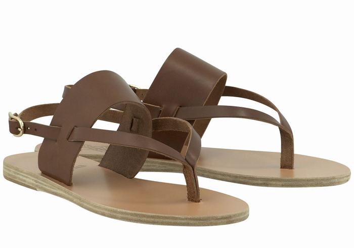 Dark Brown Ancient Greek Sandals Zoe Flip Flop Leather Women Back-Strap Sandals | LYD8955VF