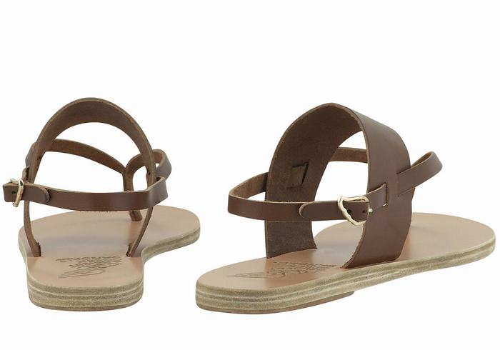 Dark Brown Ancient Greek Sandals Zoe Flip Flop Leather Women Back-Strap Sandals | LYD8955VF