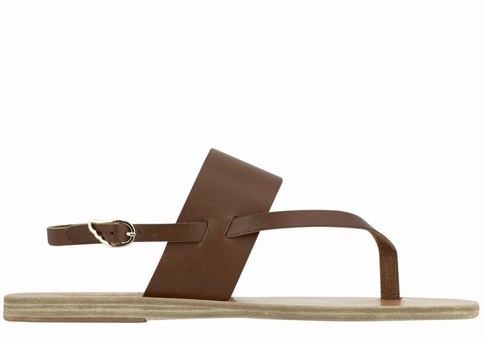 Dark Brown Ancient Greek Sandals Zoe Flip Flop Leather Women Back-Strap Sandals | LYD8955VF