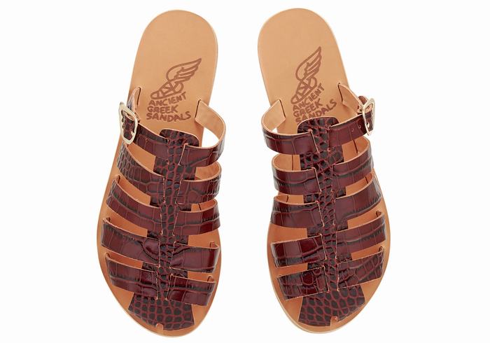 Dark Red Black Ancient Greek Sandals Cosmia Women Fisherman Sandals | IHP184BC