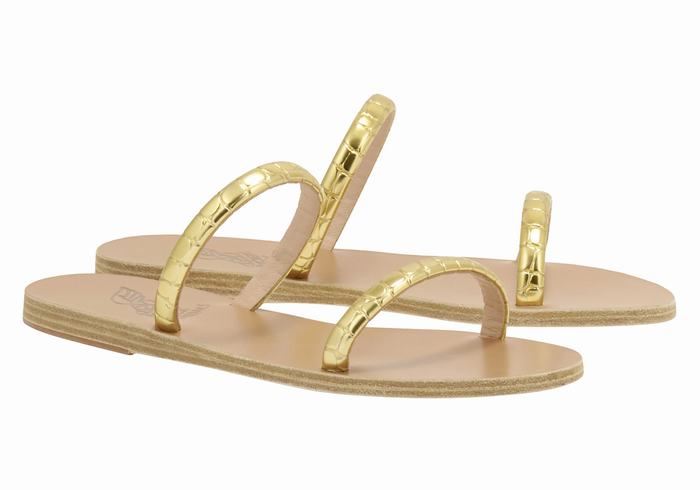 Gold Ancient Greek Sandals Echidna Women Slide Sandals | PLE99YX