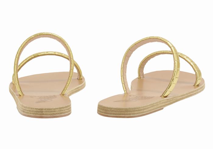 Gold Ancient Greek Sandals Echidna Women Slide Sandals | PLE99YX