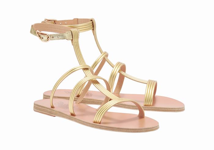 Gold Ancient Greek Sandals Frigia Women Ankle Strap Sandals | DWH8948DN