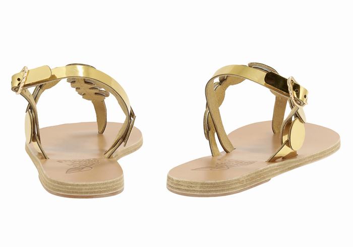 Gold Ancient Greek Sandals Ilios Flip Flop Leather Women Back-Strap Sandals | BHJ5934XA