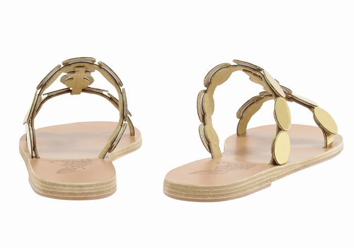 Gold Ancient Greek Sandals Uranos Leather Women Slide Sandals | QRN3863AF