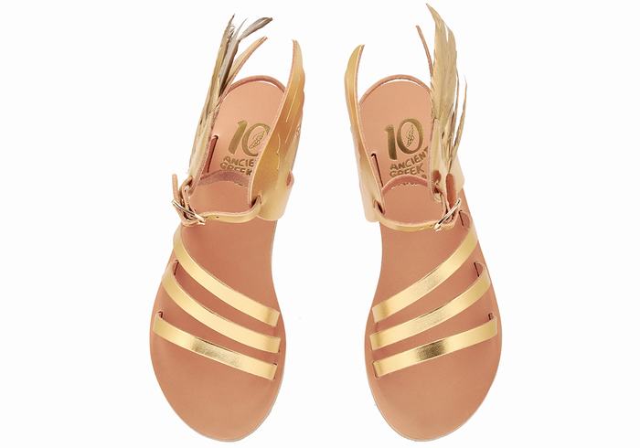 Gold Ancient Greek Sandals Victory Of Samothrace Women Ankle Strap Sandals | HKC8678BM