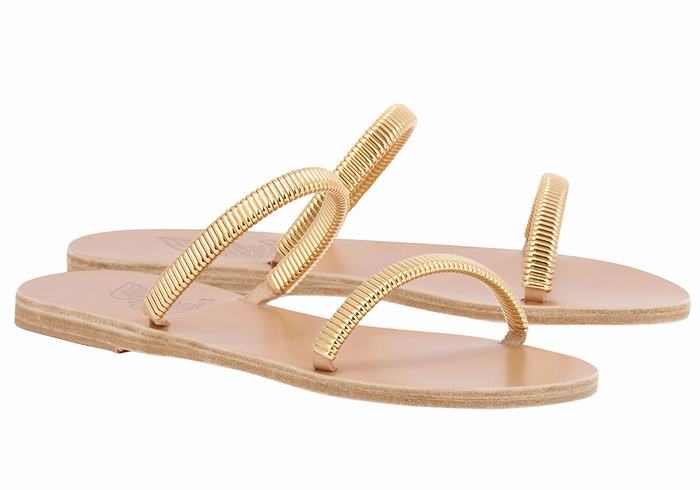 Gold Beige Ancient Greek Sandals Saita Women Slide Sandals | EAE414GS