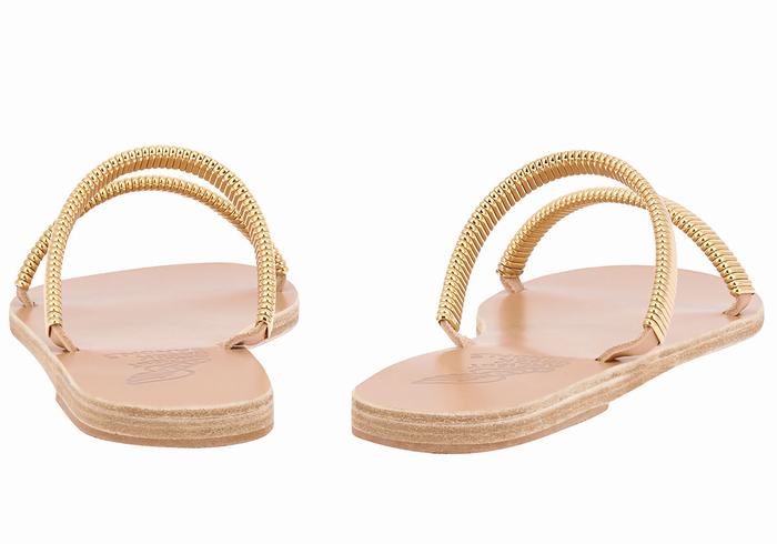 Gold Beige Ancient Greek Sandals Saita Women Slide Sandals | EAE414GS