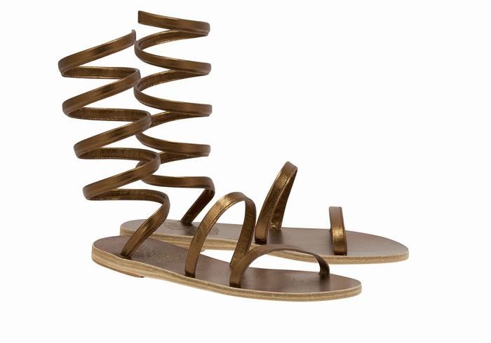 Gold Brown Ancient Greek Sandals Ofis Leather Women Gladiator Sandals | ALD7586CM