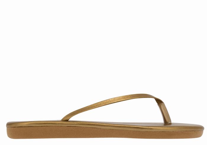 Gold Brown Ancient Greek Sandals Saionara Women Flip Flops | RPO9372TP