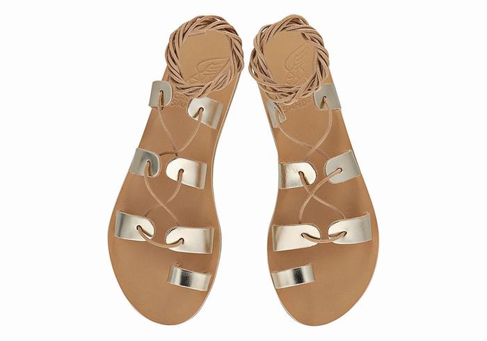 Gold White Ancient Greek Sandals Alcyone Leather Women Gladiator Sandals | ZZT5390IS