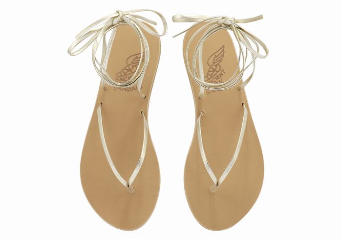 Gold White Ancient Greek Sandals Celia Women Gladiator Sandals | SJX4377NC