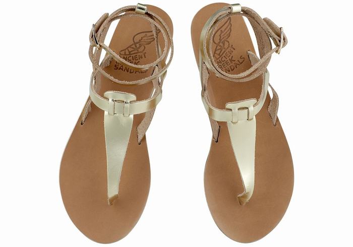 Gold White Ancient Greek Sandals Estia Leather Women Ankle Strap Sandals | KSX3195EQ