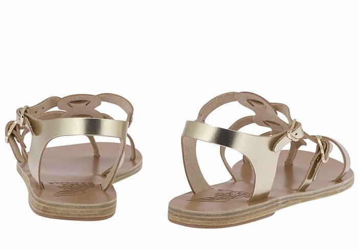 Gold White Ancient Greek Sandals Grace Kelly Leather Women Casual Sandals | KRV5194VR