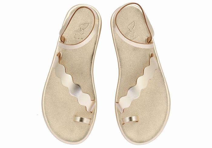 Gold White Ancient Greek Sandals Koralia Women Toe-Post Sandals | LHB3362YQ