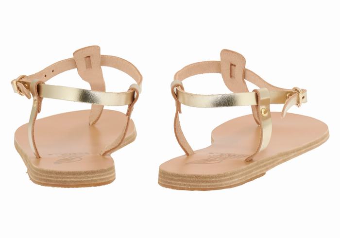 Gold White Ancient Greek Sandals Lito Flip Flop Leather Women Back-Strap Sandals | MDR9798VQ