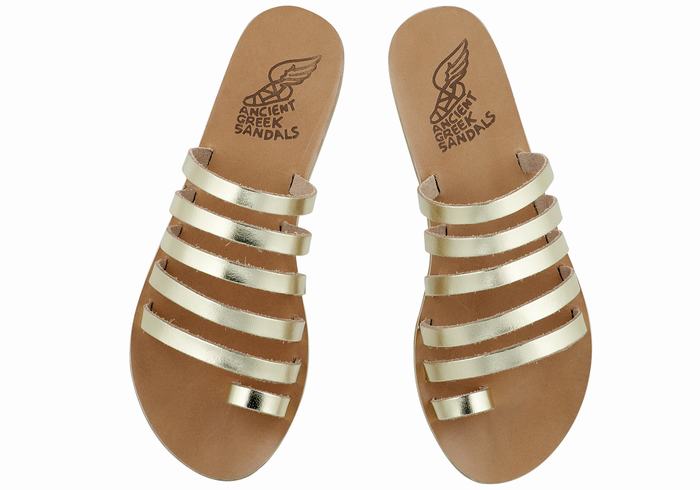 Gold White Ancient Greek Sandals Niki Leather Women Toe-Post Sandals | ZHL8789FW