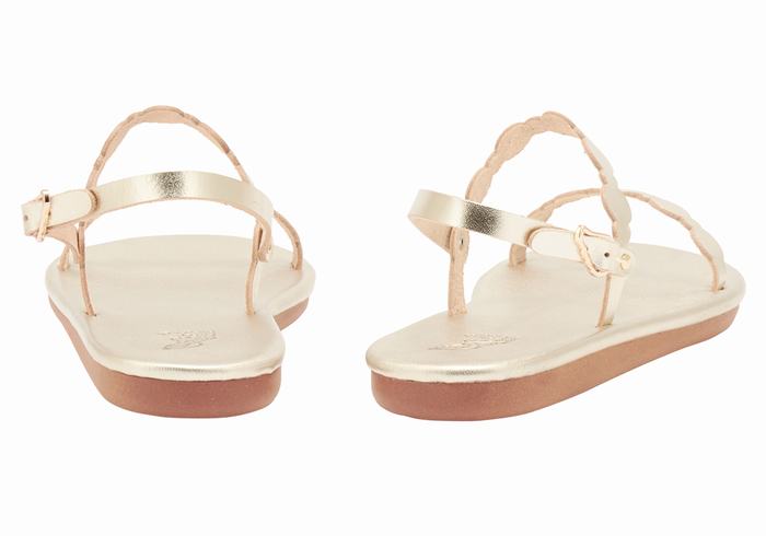 Gold White Ancient Greek Sandals Orion Women Back-Strap Sandals | LJO5612OV