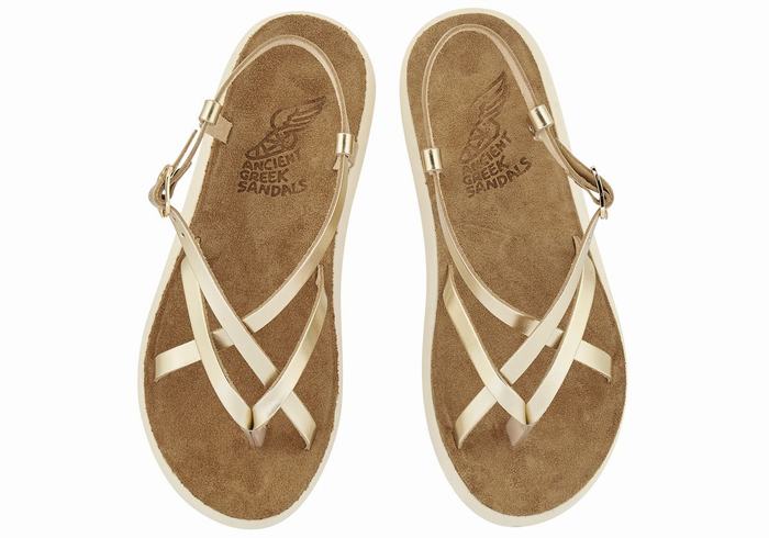 Gold White Ancient Greek Sandals Semele Comfort Women Back-Strap Sandals | DNY7753ZF