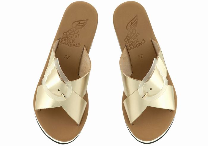 Gold White Ancient Greek Sandals Thais Rainbow Women Wedge Sandals | JQU4629AL