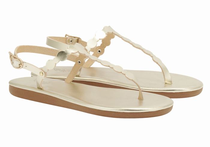 Gold White Ancient Greek Sandals Velos Flip Flop Women Back-Strap Sandals | IKU3432GM