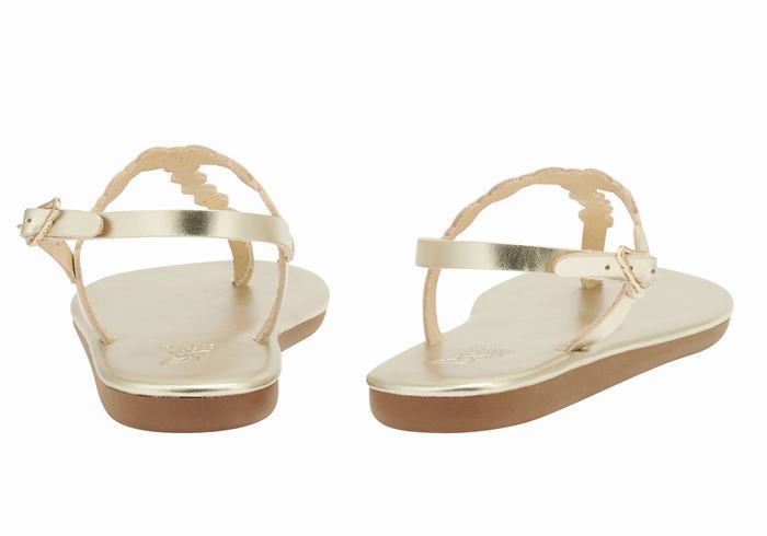 Gold White Ancient Greek Sandals Velos Flip Flop Women Back-Strap Sandals | IKU3432GM