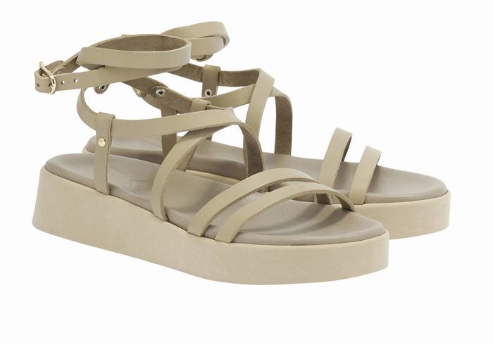 Grey Brown Ancient Greek Sandals Aristea Leather Women Platform Sandals | XYJ8729AV