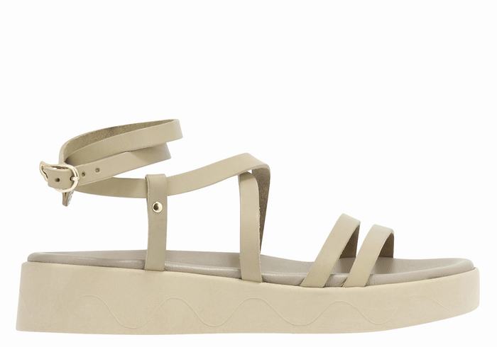 Grey Brown Ancient Greek Sandals Aristea Leather Women Platform Sandals | XYJ8729AV