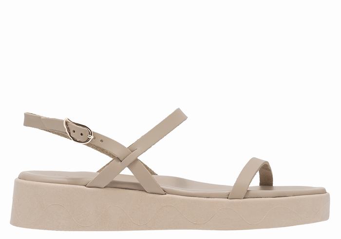 Grey Brown Ancient Greek Sandals Evriali Leather Women Platform Sandals | GPA3279II