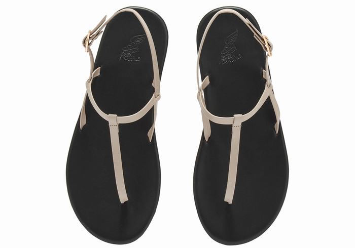 Grey Brown Ancient Greek Sandals Lito Flip Flop Women Back-Strap Sandals | JGO8748TM