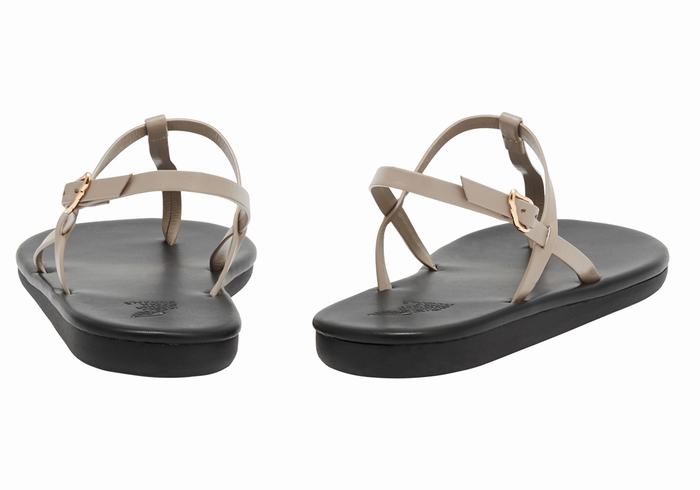 Grey Brown Ancient Greek Sandals Lito Flip Flop Women Back-Strap Sandals | JGO8748TM