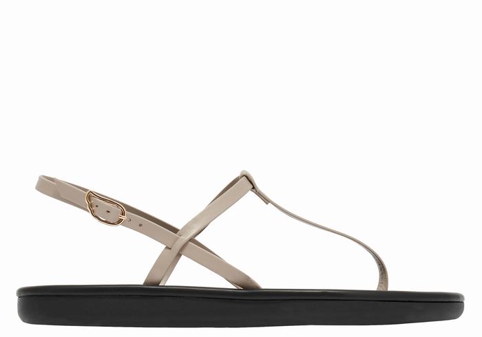 Grey Brown Ancient Greek Sandals Lito Flip Flop Women Back-Strap Sandals | JGO8748TM