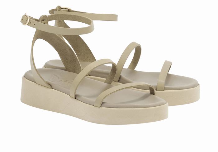 Grey Brown Ancient Greek Sandals Nissida Leather Women Platform Sandals | ZJS273TO