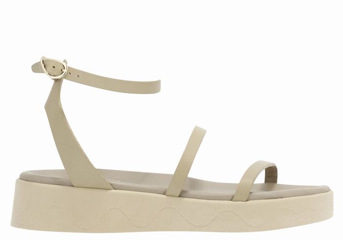 Grey Brown Ancient Greek Sandals Nissida Leather Women Platform Sandals | ZJS273TO