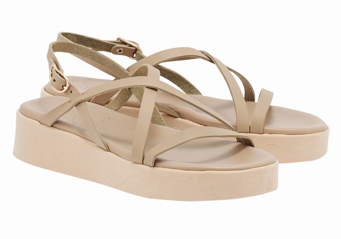 Grey Brown Ancient Greek Sandals Silia Leather Women Platform Sandals | DIC2591LX