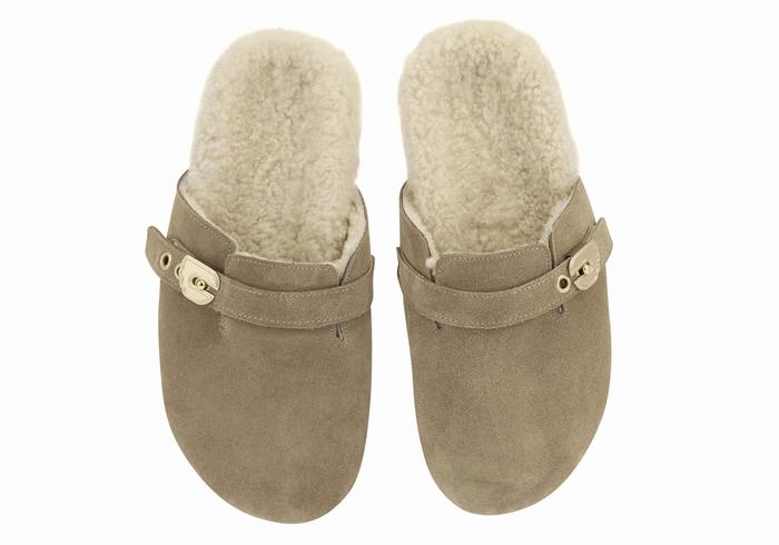 Grey Brown Ancient Greek Sandals Vasilitsa Women Slippers | BOF4746NM