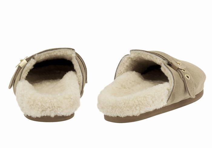 Grey Brown Ancient Greek Sandals Vasilitsa Women Slippers | BOF4746NM