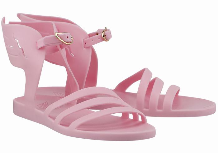 Pink Ancient Greek Sandals Ikaria Women Ankle Strap Sandals | KTI7910HU