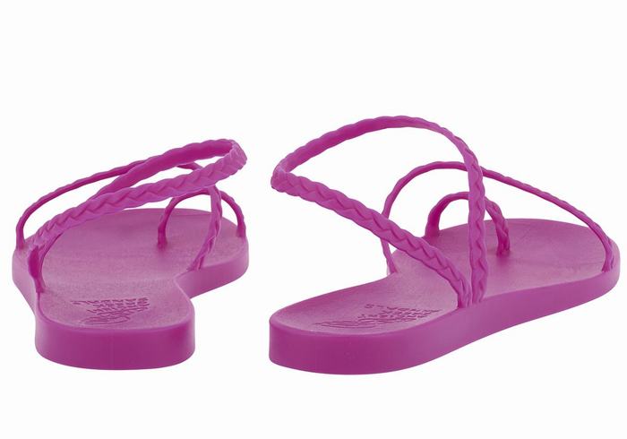 Purple Ancient Greek Sandals Eleftheria Women Braided Sandals | YEW9317YC