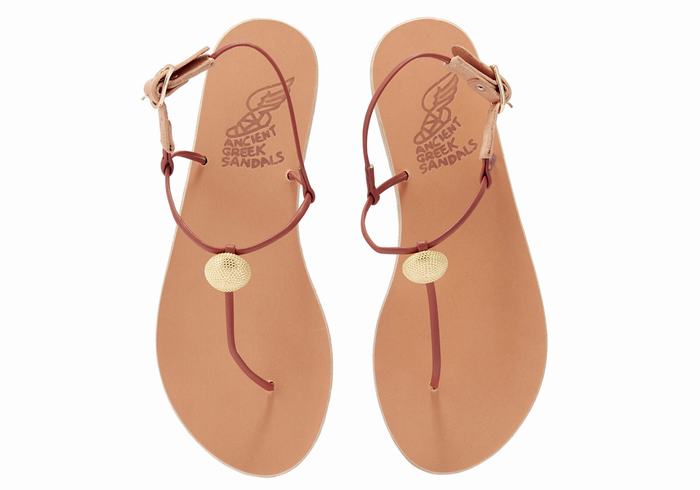 Red Ancient Greek Sandals Dimitra Flip Flop Women Back-Strap Sandals | FOS5541SC