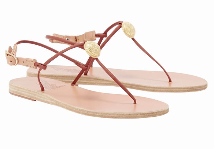 Red Ancient Greek Sandals Dimitra Flip Flop Women Back-Strap Sandals | FOS5541SC