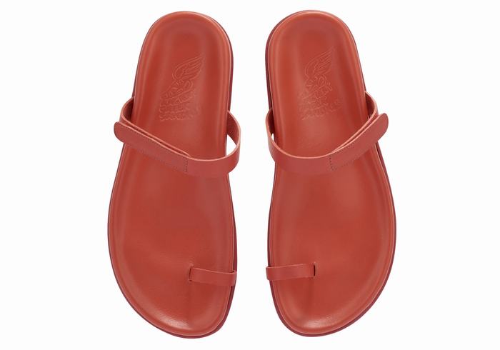 Red Ancient Greek Sandals Dokos Women Toe-Post Sandals | FZB847EV