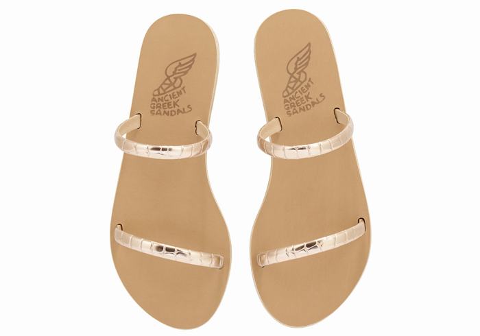 Rose Gold Ancient Greek Sandals Echidna Women Slide Sandals | VTY5441OE