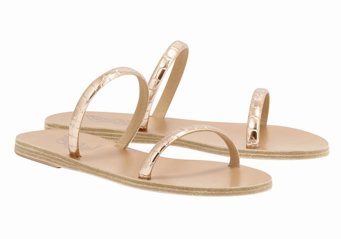 Rose Gold Ancient Greek Sandals Echidna Women Slide Sandals | VTY5441OE